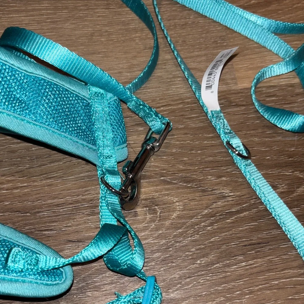 Turquoise Pet Harness and Leash Set